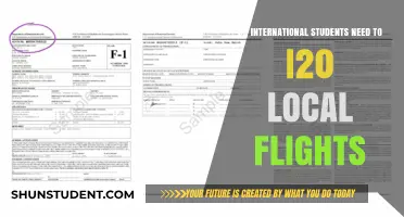 I-20 Form: Do International Students Need It for Domestic Flights?