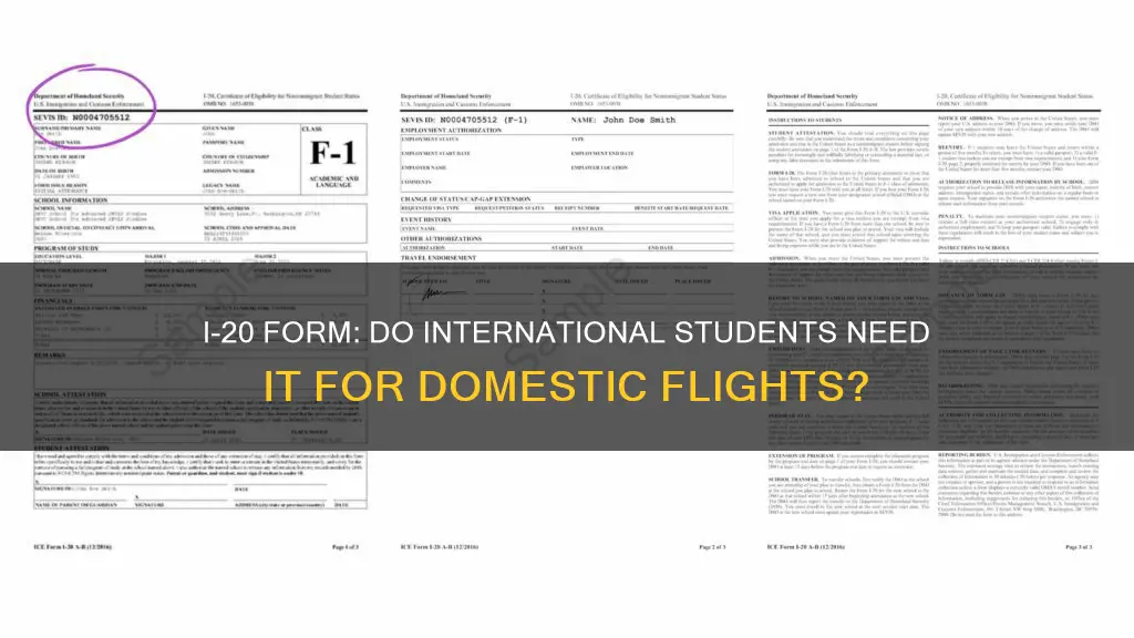 do international students need to i20 local flights