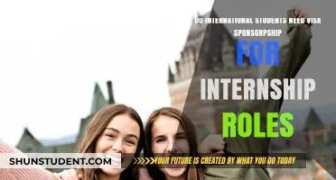 Visa Sponsorship: Internship Essentials for International Students