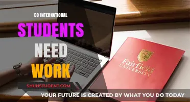 Working While Studying: Options for International Students