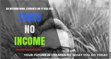 F1 Visa: Tax Filing Requirements for International Students