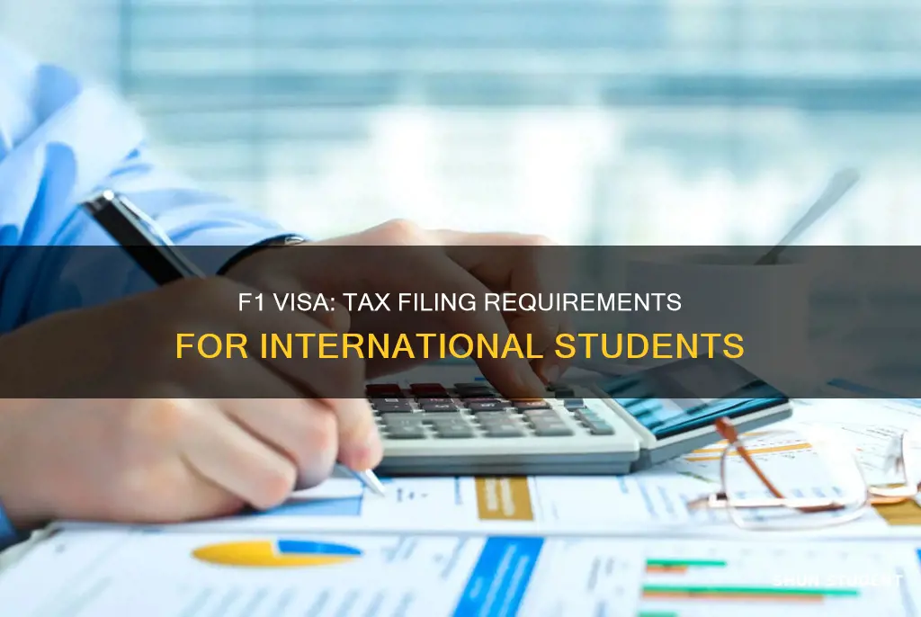 do international students on f1 visa file taxes no income