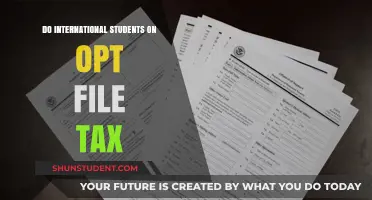 OPT Tax Filing: International Student Guide