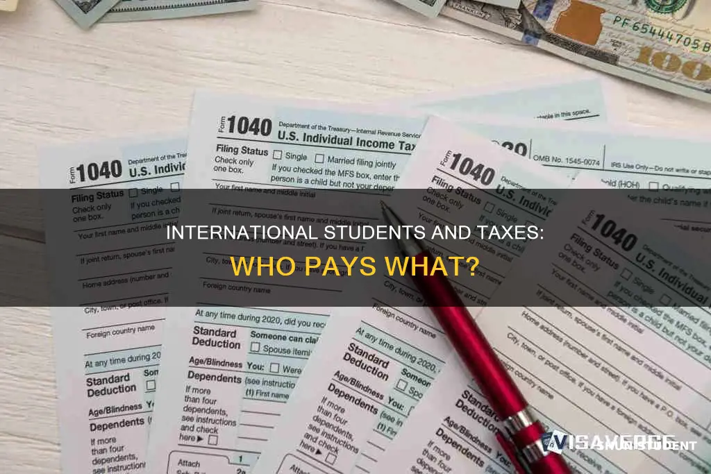 do international students pay federal state and local taxes