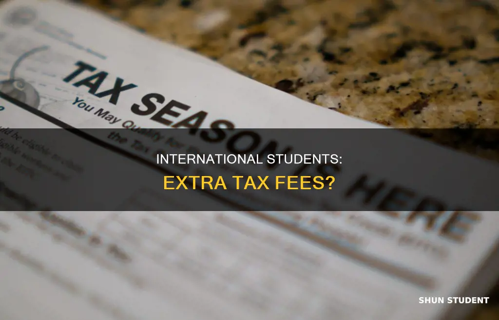do international students pay more taxes