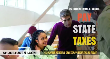 International Students and State Taxes: Who Pays?