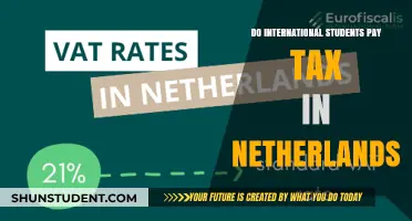 International Students and Taxes in the Netherlands
