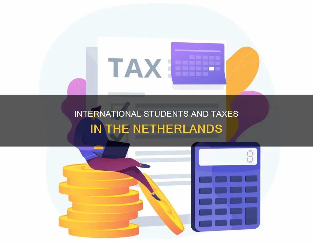 do international students pay tax in netherlands