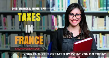 International Students in France: Do They Pay Taxes?