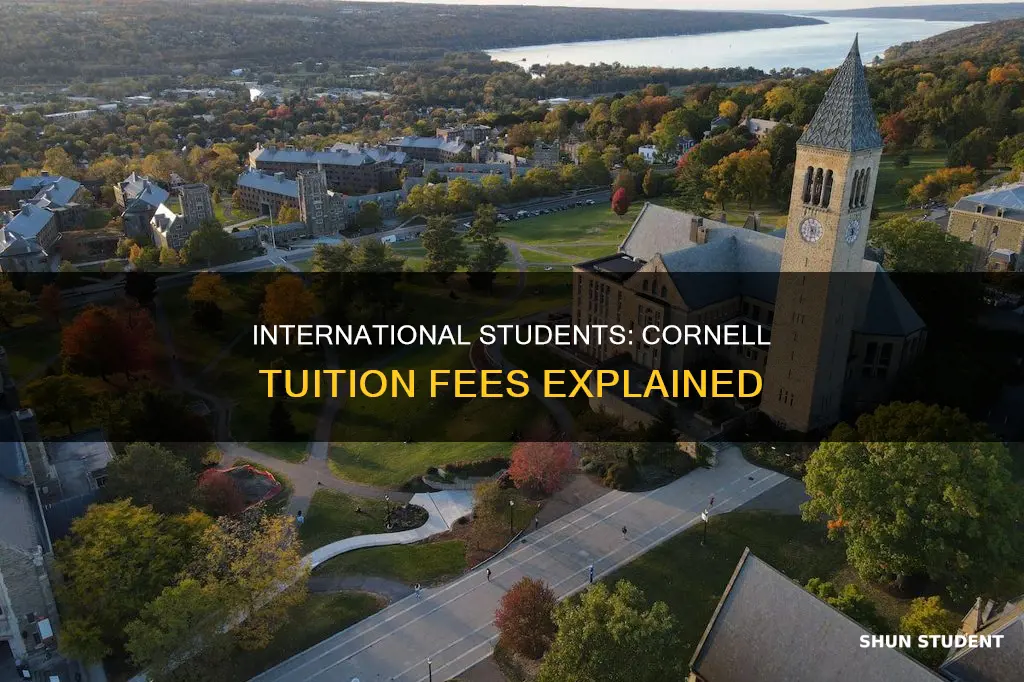 do international students pay tuition at cornell