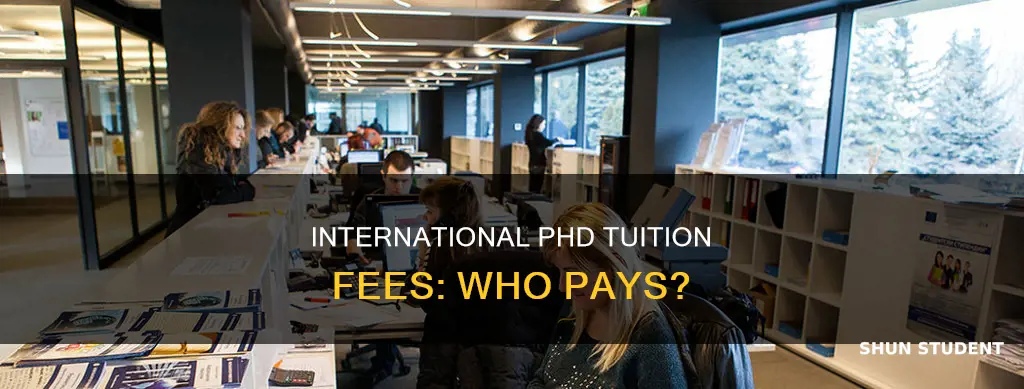 do international students pay tuition in phd programs