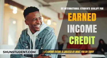 International Students: Are You Eligible for Earned Income Credit?