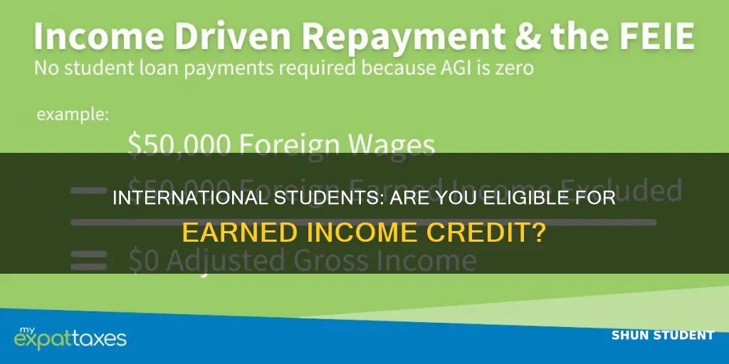 do international students qualify for earned income credit