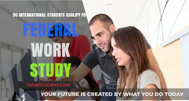 International Students: Federal Work-Study Eligibility