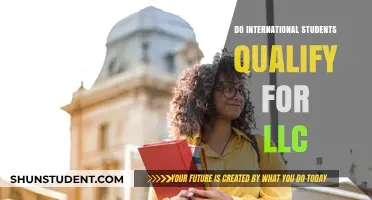 LLC Formation: International Students' Eligibility