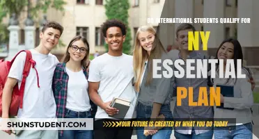International Students: Eligibility for NY Essential Plan?