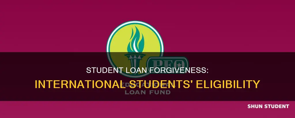 do international students qualify for student loan forgiveness