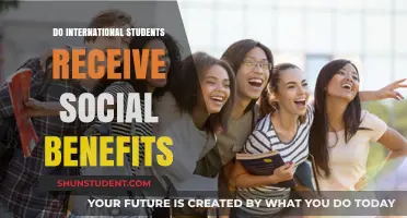 International Students: Are They Eligible for Social Benefits?