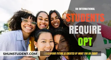 OPT: International Students' Work Opportunity in the US