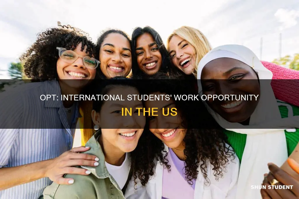 do international students require opt