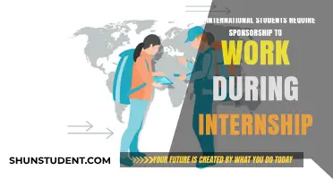 Sponsorship for International Students: Work and Internship