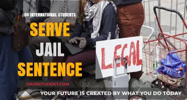 International Students and Jail: Understanding the Reality