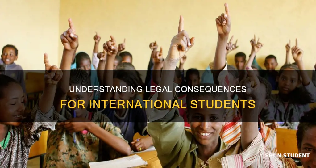 do international students serve jail time or just get deported