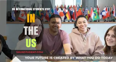 Staying in the US: International Students' Choices