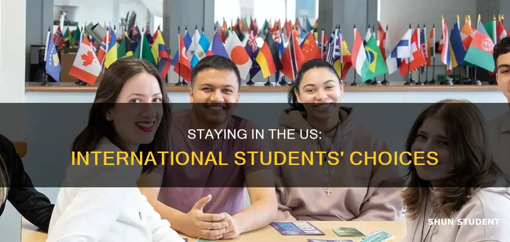 do international students stay in the us