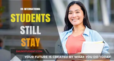 Why International Students Stay in Their Host Countries