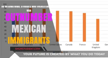 Overextended Visas: Who Outnumbers Whom?
