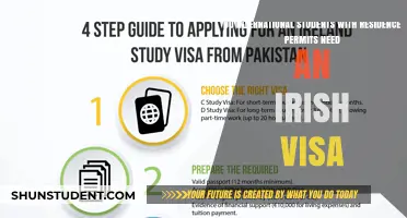 Residence Permit: Do International Students Need an Irish Visa?
