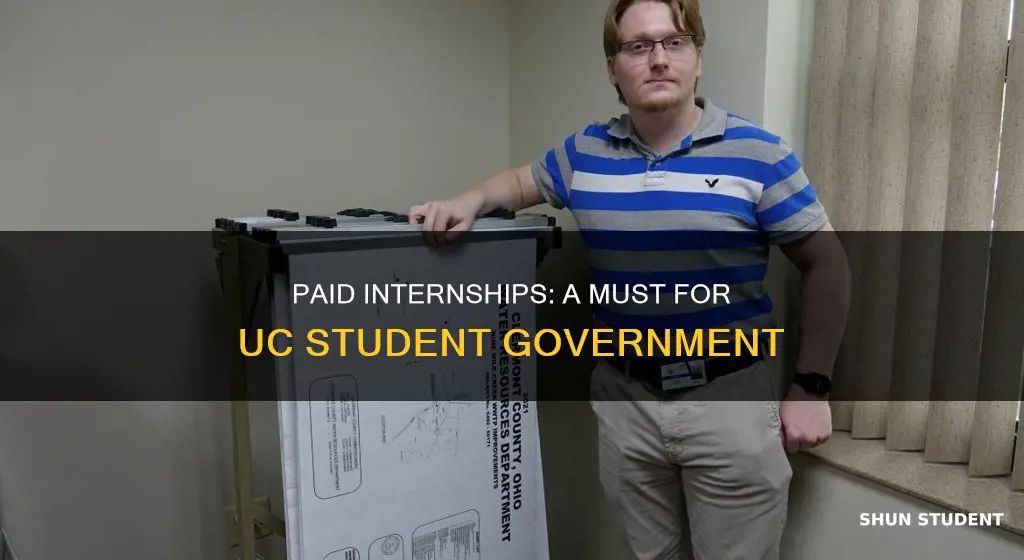 do interns get paid in uc student gov