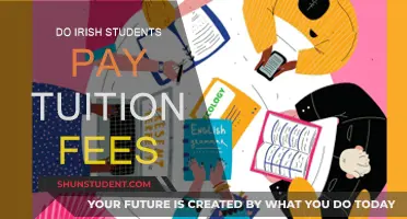 Irish Students and Tuition Fees: Who Pays?