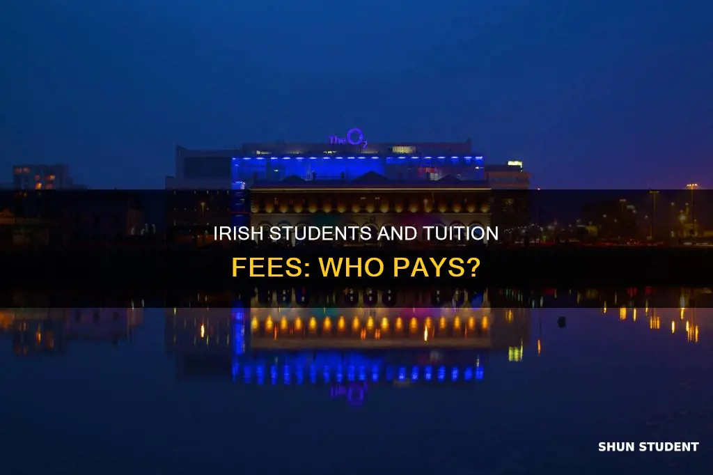 do irish students pay tuition fees