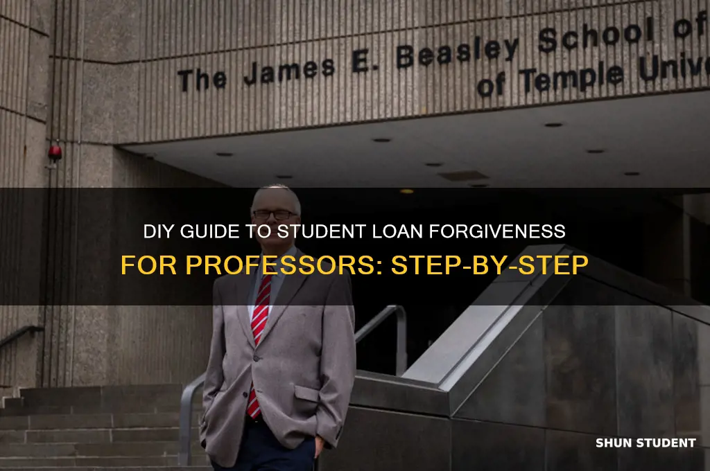 do it yourself professor student loan forgiveness