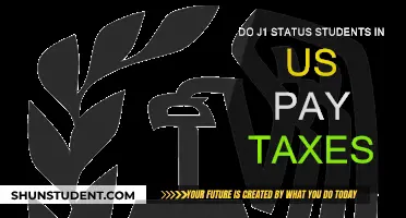 J1 Students and Taxes: Do They Pay?
