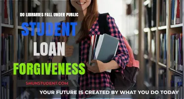 Do Libraries Qualify for Public Student Loan Forgiveness Programs?