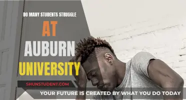 Struggles at Auburn University: Why Do Students Struggle?