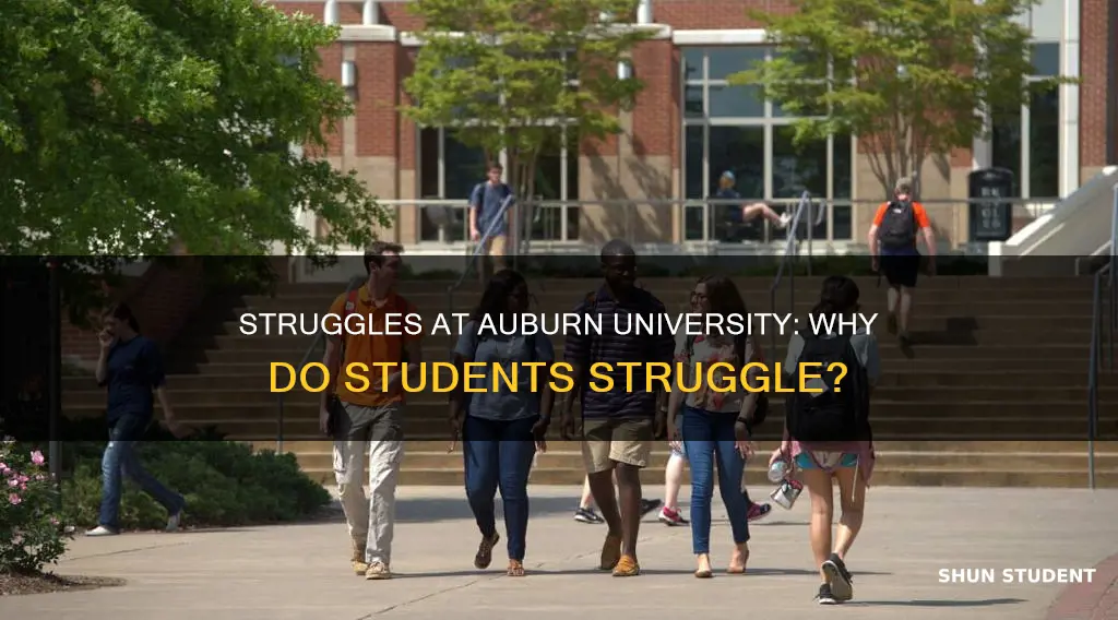 do many students struggle at auburn university
