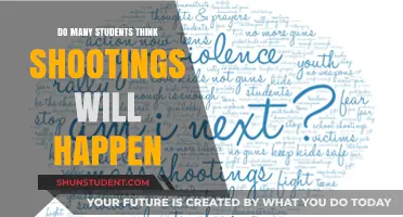 Do Students Fear School Shootings? Uncovering Widespread Concerns and Realities