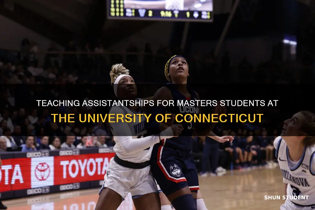 do masters student get teaching assistantships in university of connecticut