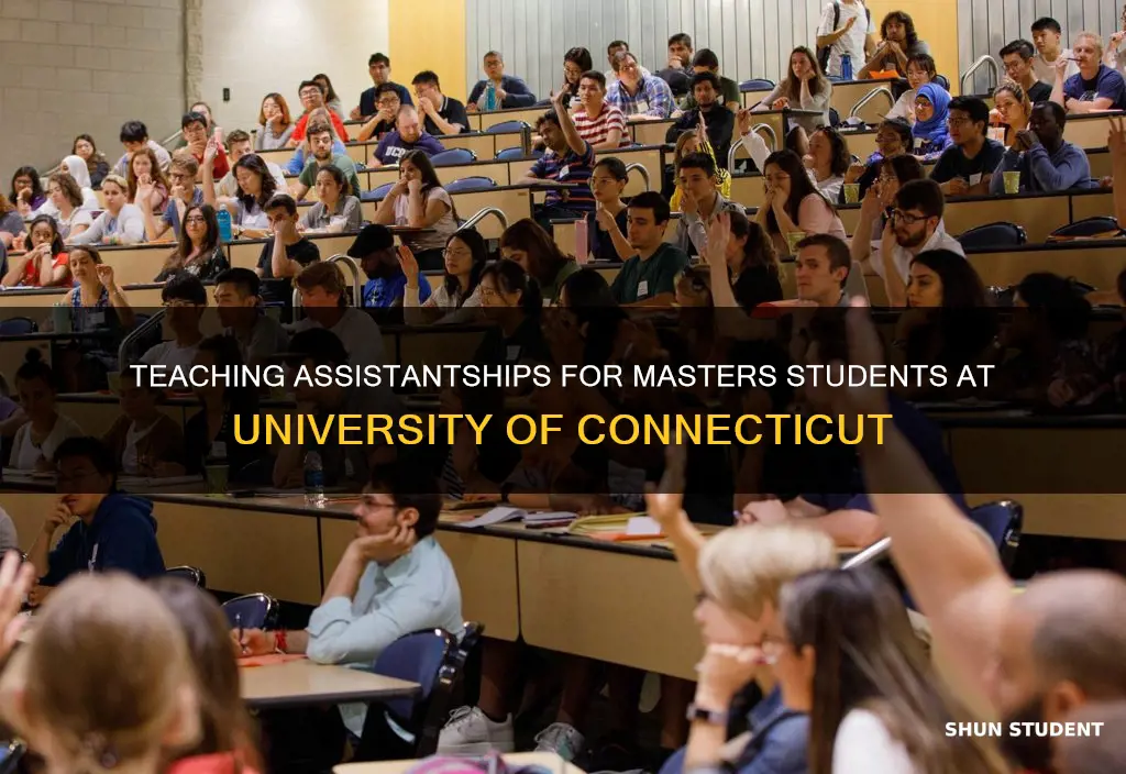 do masters student get teaching assistantships in university of connecticut