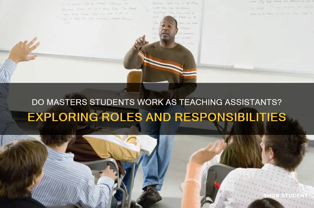 do masters students work as teaching assistants