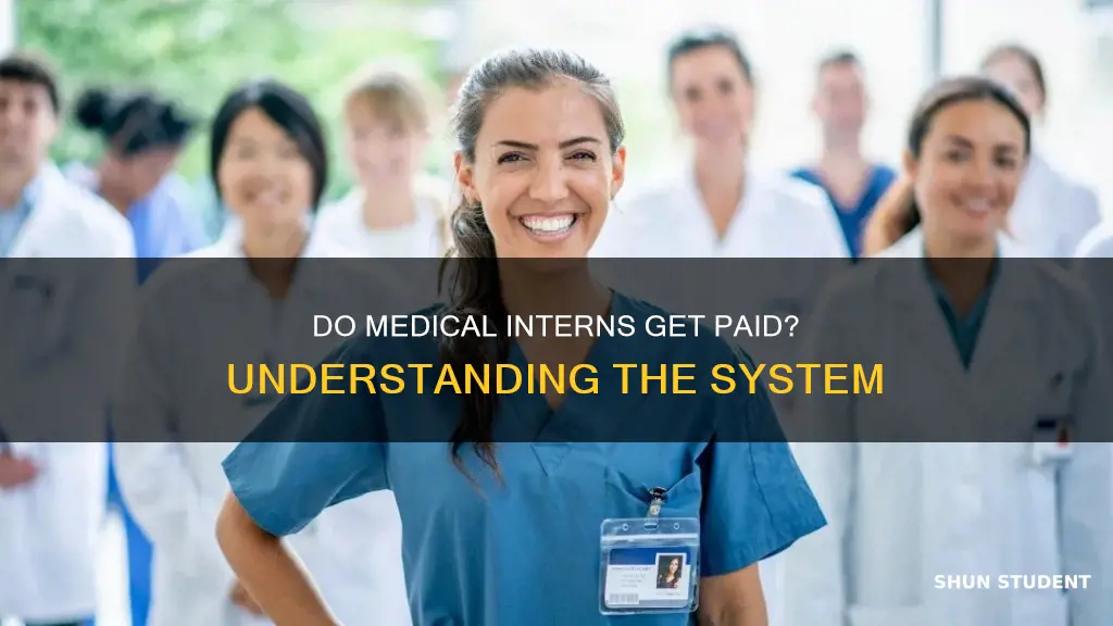 do medical student interns get paid