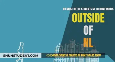 Dutch Students: Studying Abroad or Staying in NL?