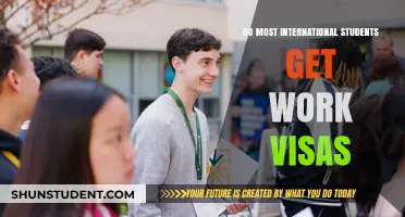 How International Students Can Get Work Visas