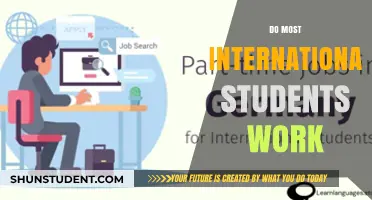 International Students: Do They Work or Study?