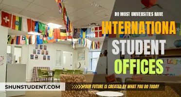 International Student Support: University Services for Global Students