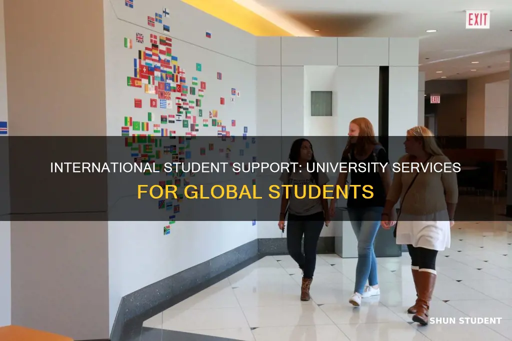 do most universities have international student offices